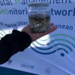 MONITORING ACTIVITY IN ITALY4