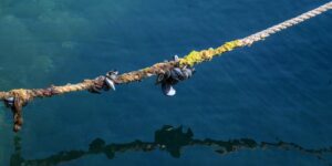 microplastics