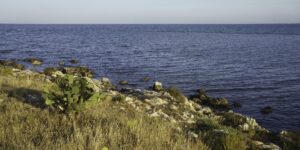 International workshop in Manfredonia